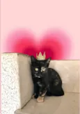 Milky bb2meses Linda
