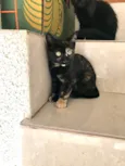 Milky bb2meses Linda