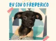 Frederico bb4meses porte PEQUENO