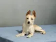 Lola bb6meses porte PEQUENO