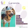 Caramela