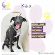 Kika