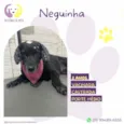 Neguinha