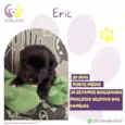 Eric