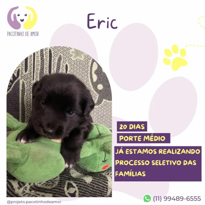 Cachorro ra a SRD-ViraLata idade Abaixo de 2 meses nome Eric