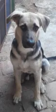 Romeu