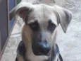 Romeu