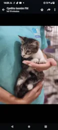 Autora