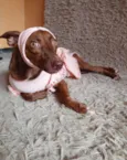 Pequena.