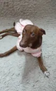 Pequena.