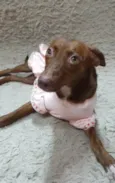 Pequena.