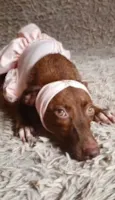 Pequena.