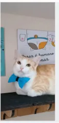 CHARLIE