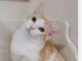 CHARLIE