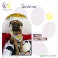 Sininho