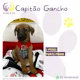 Capitão Gancho 