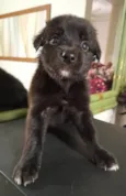 Mateo