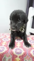 Mateo