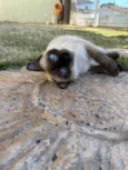 Nina