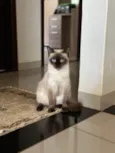 Nina