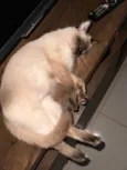 Nina