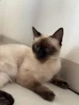 Nina