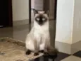 Nina