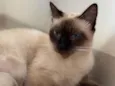 Nina
