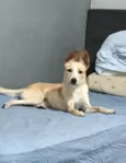 Lola porteP bb6meses