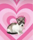 Amanda bb10meses Linda