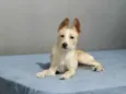 Lola porteP bb6meses