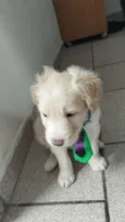 Duke
