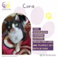 Cora