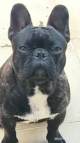 Fernando