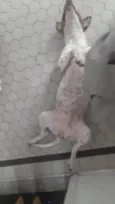 Nina