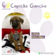 CapitÃ£o Gancho