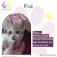 Kali