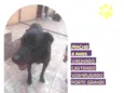 Lukão
