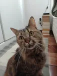 Mel