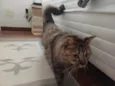 Mel