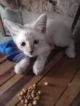 Nick