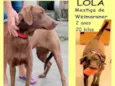 Lola