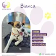 Bianca