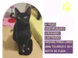 FaÃsca