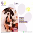 Ian