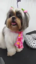Minnie