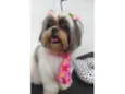 Minnie