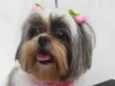 Minnie