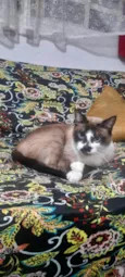 Mel