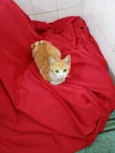 Mia